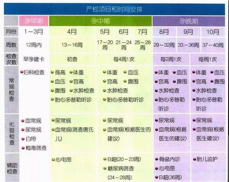 孕橙 安卓版 孕期检查时间表
