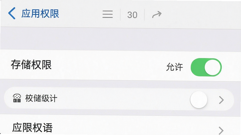 主体为手机设置界面截图,显示“应用权限”页面,布局聚焦于“存储权限”开关,排版为系统原生UI风格,风格为简洁实用,细节包括绿色的“允许”状态标识、清晰的权限列表,画质清晰,干净,无多余元素
