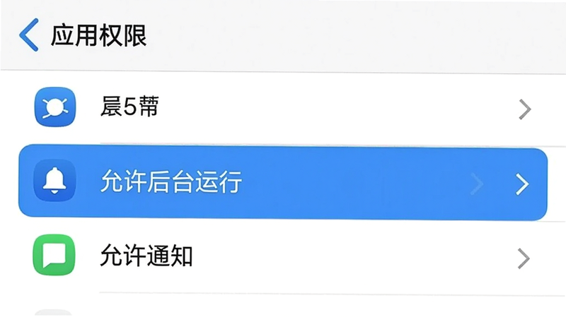 手机设置界面示意图,展示“应用权限”列表,高亮显示“允许后台运行”、“允许通知”等选项,界面简洁,图标清晰,突出系统设置要点,背景纯白,无其他干扰元素