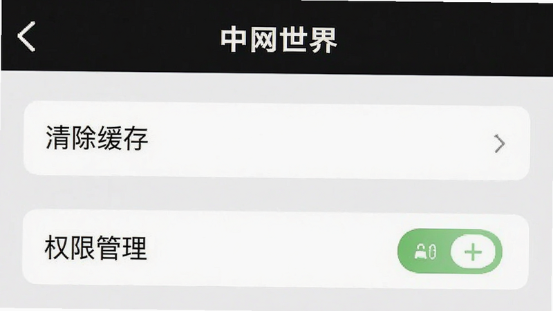 ����Ϊ���������硱APP���ý��棬����Ϊ�б�ʽѡ��Ű��࣬���Ϊϵͳԭ��UI��ϸ����ʾ��������桱����Ȩ�޹�����ѡ������������ɾ����޶���Ԫ��