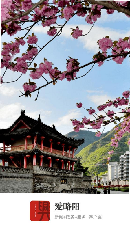 爱略阳 安卓版 功能模块 表格 预览图