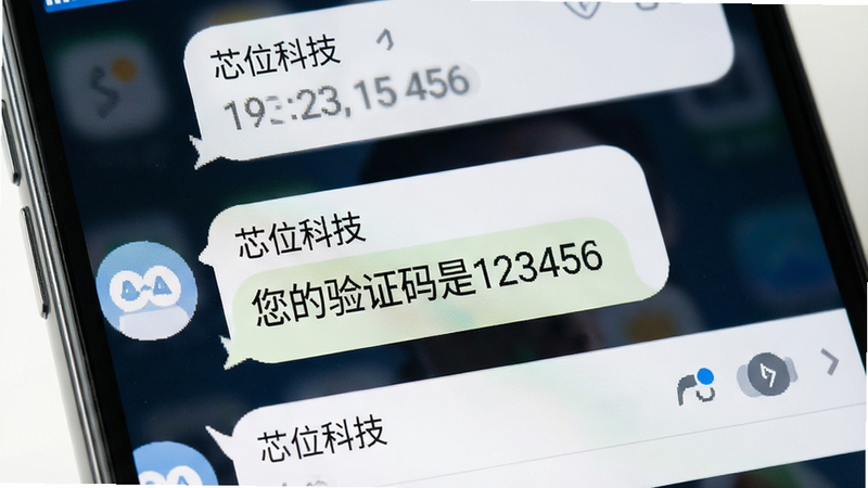 手机短信界面截图,显示来自“芯位科技”的验证码短信,主体为短信列表,布局简洁,风格现代,细节清晰,画质高清,无其他干扰短信,文字“您的验证码是123456”清晰可见