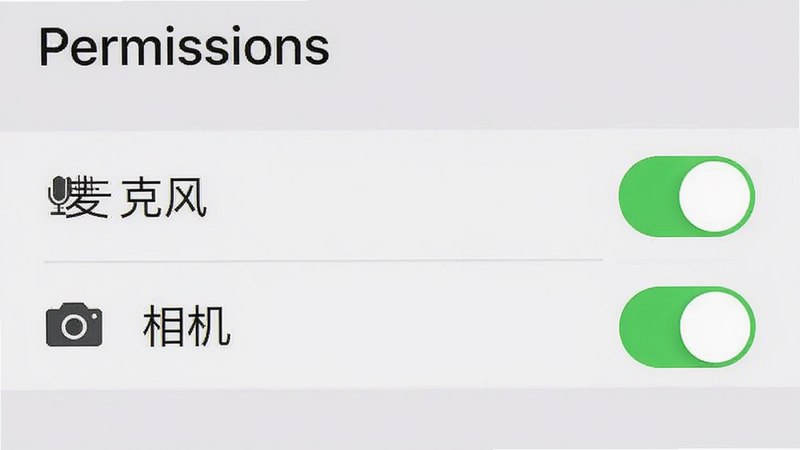 手机设置界面截图,展示Crush应用的权限管理页面,高亮显示“麦克风”和“相机”权限开关为开启状态,背景为浅灰色,风格简洁明了,细节清晰,画质高清,文字“Permissions”