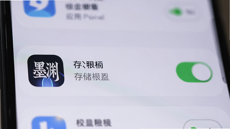 手机设置界面,显示应用权限管理列表,墨渊APP图标突出显示,存储权限开关为开启状态,背景模糊,焦点在权限选项上,清晰,简洁,无干扰元素