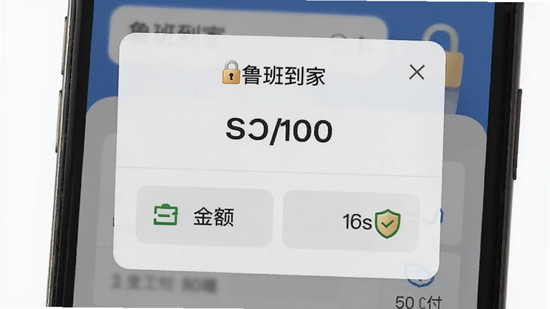 主体为鲁班到家支付界面特写,布局为简洁的支付确认弹窗,显示金额、支付方式选项及安全盾牌图标,风格极简UI设计,细节强调安全锁标志,文字包含