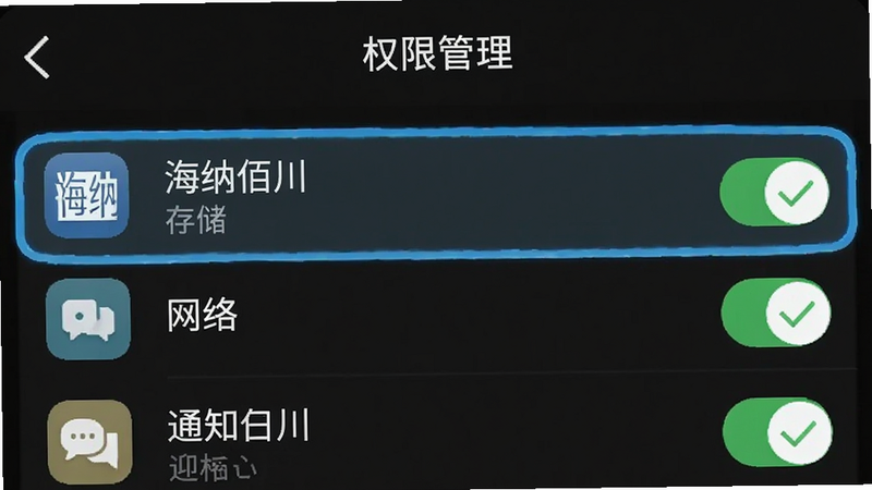手机设置界面截图,显示“权限管理”页面,其中“海纳佰川”应用的存储、网络、通知权限均被勾选开启,界面清晰,高亮显示已开启项,风格简洁,画质清晰,无多余文字
