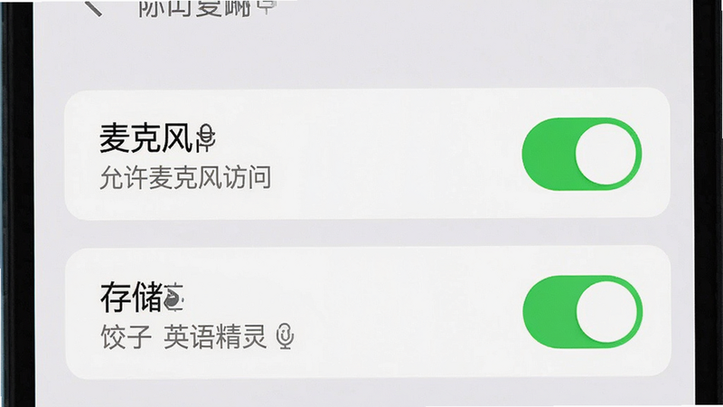 主体为手机设置界面截图,展示权限管理页面,布局居中,突出显示“麦克风”和“存储”权限开关,风格为系统原生UI,细节包含绿色开启状态图标,文字内容包含“允许麦克风访问”和“饺子英语精灵”,画质清晰,无其他干扰元素