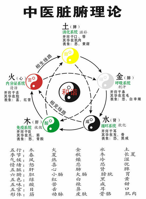 中医之家 安卓版 理论图解