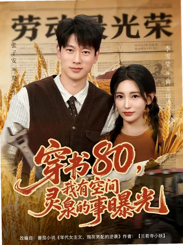 听见八零 安卓版 穿书剧情 用户评价