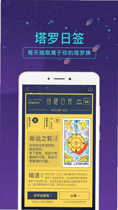 塔罗气泡 安卓版 用户评价截图