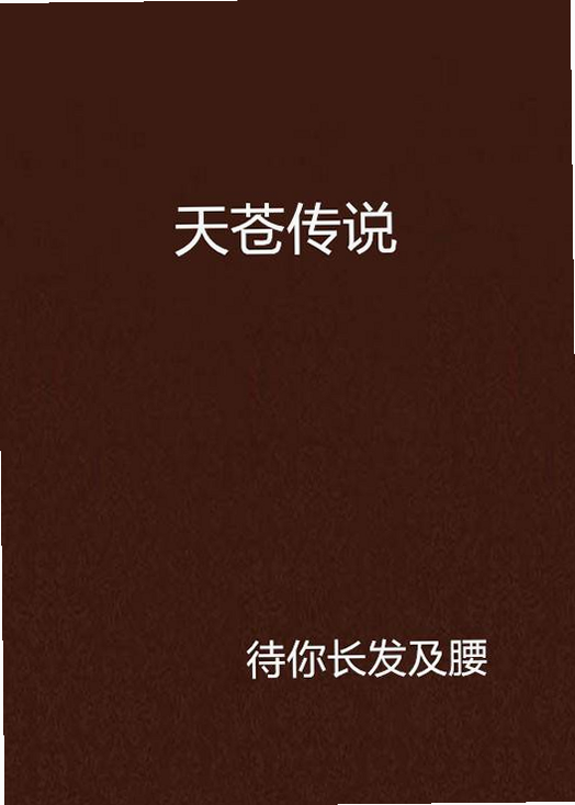 天仓起 安卓版 安装教程 步骤图