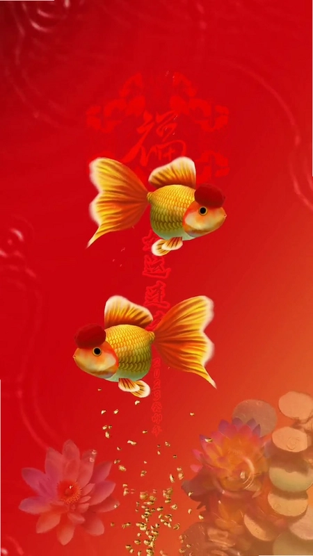 ������������ͼ2