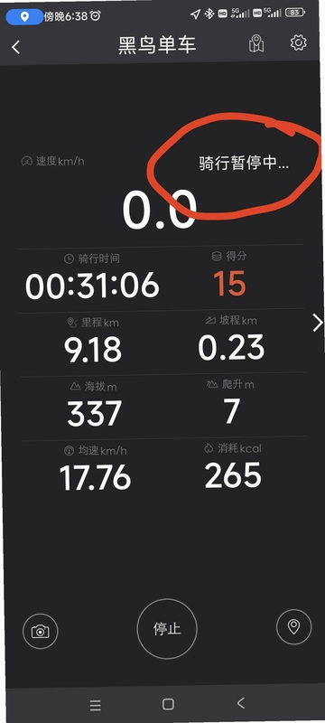 9���������ֽ�ͼ3
