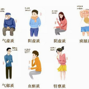 九质戒 安卓版 体质调理