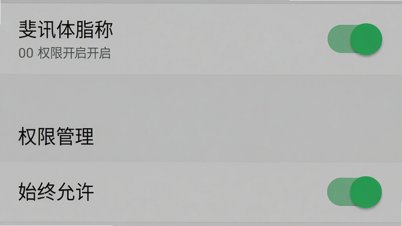 主体为手机设置界面截图,显示蓝牙权限开启状态,布局为垂直列表,背景为系统默认灰色,排版标准安卓风格,细节处开关按钮为绿色开启状态,画质清晰,干净无广告,文字内容包含