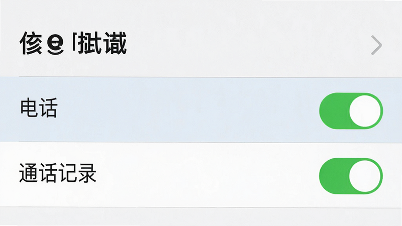 手机设置界面截图,显示权限管理列表,高亮显示“电话”和“通话记录”权限已开启,背景白色,字体清晰,布局规范,高清细节,无多余装饰