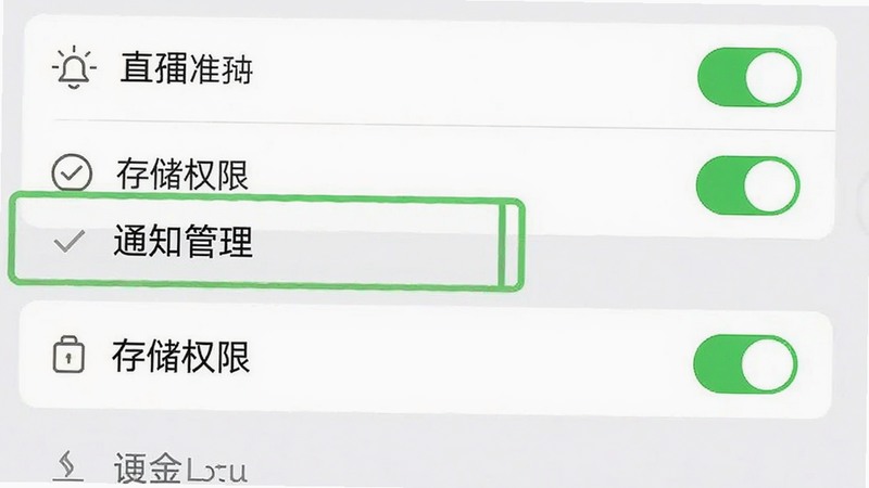 主体为手机设置界面截图,高亮显示‘通知管理’与‘存储权限’选项,布局清晰,左侧为菜单列表,右侧为开关状态,背景为白色,细节包含对勾图标,风格简洁明了,画质清晰,无多余装饰