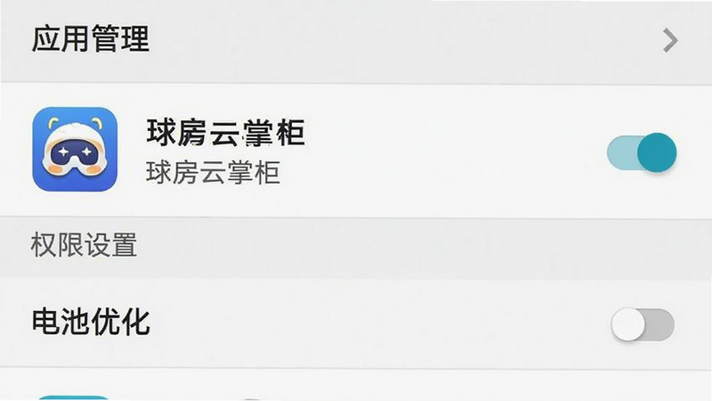 手机设置界面截图,主体为“应用管理”与“电池优化”选项,布局为列表式设置菜单,排版清晰,风格为安卓系统原生UI,细节显示“球房云掌柜”应用图标及权限开关状态,画质清晰,干净背景,无多余图标,文字标签为