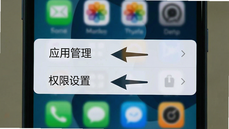 手机设置界面截图,高亮显示“应用管理”与“权限设置”选项,旁边标注箭头指示操作路径,背景为模糊的手机主屏幕,简洁直观,教学辅助风格,清晰度高,无水印