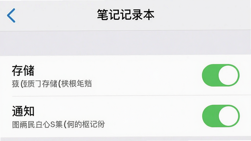 手机设置界面截图,显示“笔记记录本”的权限管理页面,主体为列表形式,布局纵向排列,风格为系统原生UI,细节高亮显示“存储”和“通知”权限为开启状态,画质清晰,操作指引明确