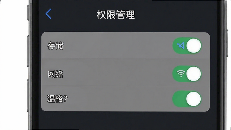 Boogu-Image 生成一张手机设置权限界面的示意图,显示“存储”、“网络”等权限开关,布局清晰,排版简洁,风格为现代UI,细节准确,高清,干净,无多余元素,文字'权限管理'