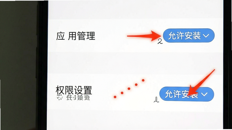 主体为手机设置界面截图,布局显示“应用管理”与“权限设置”选项,背景为白色,排版简洁,风格为系统原生UI,细节处有红色箭头指向关键按钮,画质清晰,干净无干扰元素,文字“允许安装”高亮显示