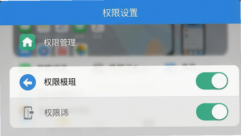 手机设置界面示意图,显示权限管理选项,布局简洁,图标清晰,风格为扁平化设计,细节为开关按钮,画质清晰,干净,文字