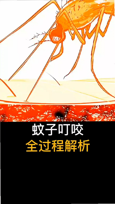 ��������: ����͵��� ��׿�� ��Ϸ���� ����