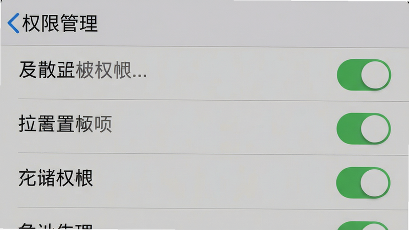 主体为手机设置界面截图,布局为权限管理列表,排版清晰明了,风格系统原生UI,细节显示位置与存储权限开关,画质清晰,干净,无多余元素,文字显示