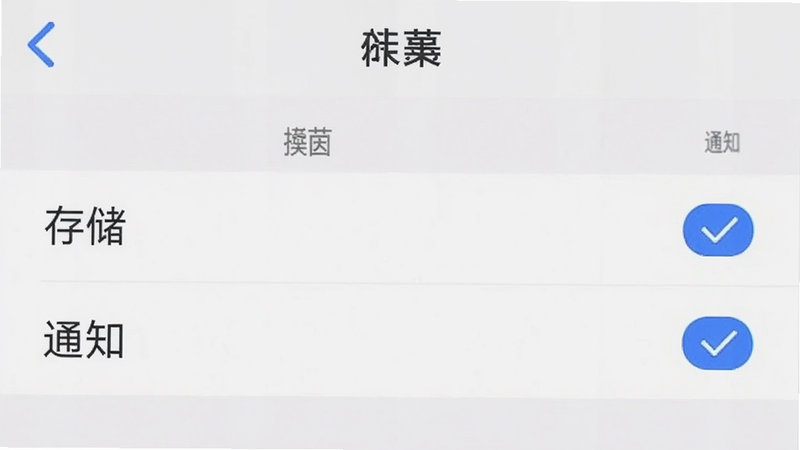 主体为手机设置界面截图,显示“伴茵”APP的权限管理页面,勾选了“存储”和“通知”选项,背景为白色,文字清晰,布局列表式,排版规范,风格系统原生,细节显示勾选状态,画质清晰,干净无多余元素