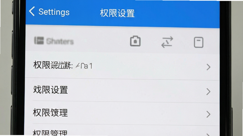 手机设置界面截图,显示权限管理选项,主体为设置列表,布局清晰,排版整齐,风格系统原生,细节准确,画质清晰,干净背景,文字标注“权限设置”