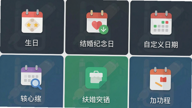 主体为软件功能列表界面,展示“生日”、“结婚纪念日”、“自定义日期”等图标,布局为网格状排列,排版整齐,风格扁平化,细节包括图标下方的文字标签,画质清晰,干净,无多余元素