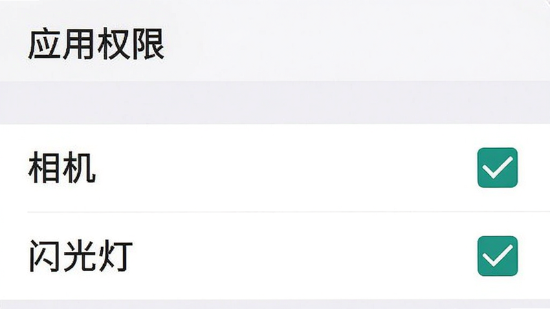 手机设置界面截图,显示“应用权限”列表,其中“相机”和“闪光灯”选项已勾选为允许状态,背景为白色,风格扁平化,主体清晰,布局列表式,排版整齐,细节勾选框清晰,画质清晰,干净无遮挡