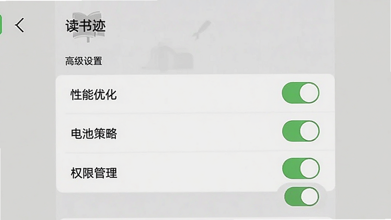 主体为“读书迹”设置界面细节,布局为列表式开关选项,排版简洁,风格为实用主义,细节包含“性能优化”、“电池策略”、“权限管理”等选项,画质清晰,干净背景,文字标签为“高级设置”