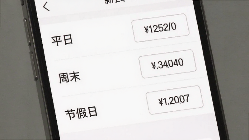 手机界面展示薪资设置页,列表包含“平日”、“周末”、“节假日”三项,每项右侧有数字输入框,显示具体金额,背景白色,字体清晰,布局整齐,无杂乱元素