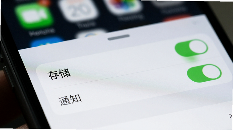 手机设置界面特写,显示权限管理列表,高亮显示“存储”和“通知”权限为开启状态,背景模糊处理,突出前景设置项,界面简洁,高清细节