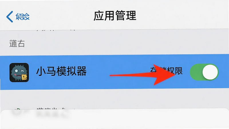 手机设置界面截图,显示“应用管理”页面,高亮显示“小马模拟器”条目,旁边有红色箭头指向“存储权限”开关,背景简洁,画质清晰,无多余文字