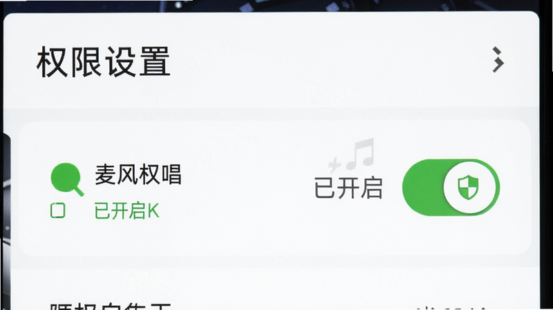 主体为全免欢唱K在安卓手机上的设置界面特写,布局为垂直列表,高亮显示麦克风权限开关,排版简洁清晰,风格为极简主义UI设计,细节包含绿色的“已开启”状态指示器与盾牌安全图标,画质清晰锐利,干净无杂项,文字显示为