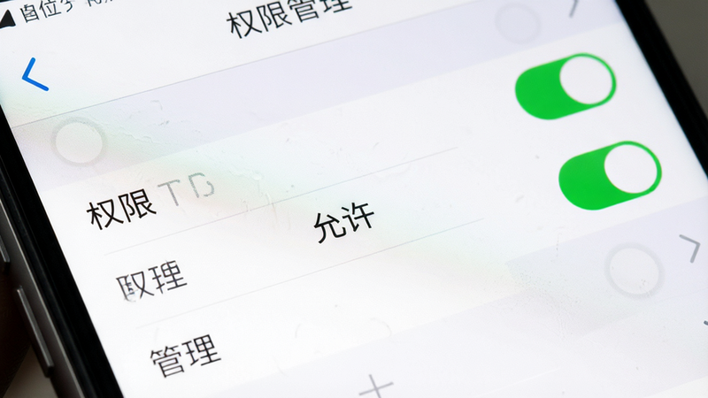 主体为手机设置界面中权限管理的特写,布局为列表形式,排版清晰,风格为系统原生UI,细节展示权限开关状态,画质清晰,无干扰元素,文字显示