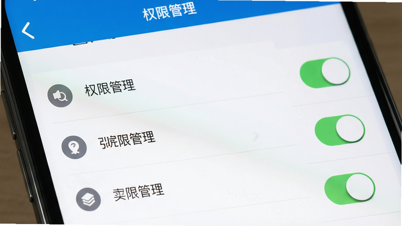 ����Ϊ�ֻ����ý��棬����Ϊ�б���ʽ����ʾȨ�޹���ѡ����Ϊϵͳԭ��UI��ϸ�ڰ������ذ�ť��Ȩ��ͼ�꣬�����������ɾ����޶���Ԫ�أ����ְ���
