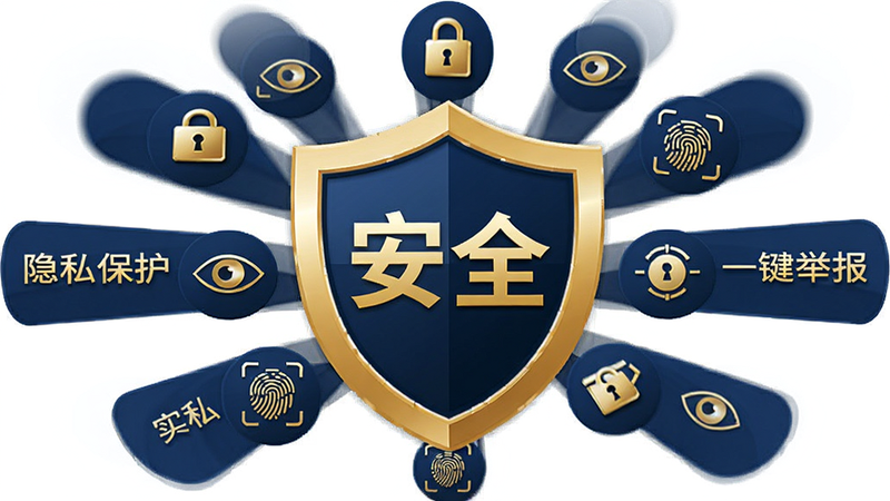 主体为盾牌形状的图标,中心有“安全”字样,周围环绕着锁头、指纹、眼睛(代表隐私)等小图标,布局呈放射状,风格稳重可靠,配色为深蓝与金色搭配,细节处有光泽反射,画质精致,干净无多余元素,文字: