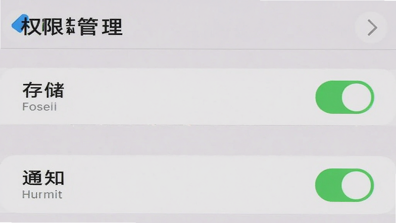 手机设置界面截图,显示“权限管理”列表,其中“存储”和“通知”权限处于开启状态,背景为浅灰色,文字清晰,简约风格,高清细节,无水印