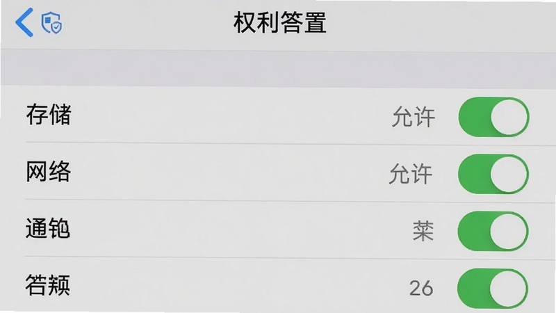 主体为手机设置界面截图,显示“福利答题”APP的权限管理页面,布局列出存储、网络、通知等权限开关状态,其中存储权限显示为“允许”。风格为系统原生设置UI,色彩为灰白色调,细节处有盾牌图标表示安全,画质清晰,干净无多余元素,文字“权限设置”清晰