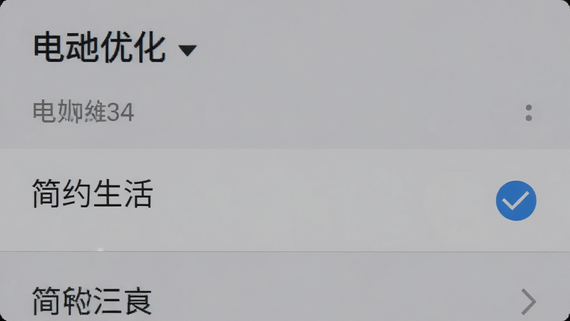 手机设置界面截图,显示电池优化列表,其中“简约生活”被勾选为例外,背景为系统默认灰色,风格写实,细节清晰,画质高,干净,无多余元素