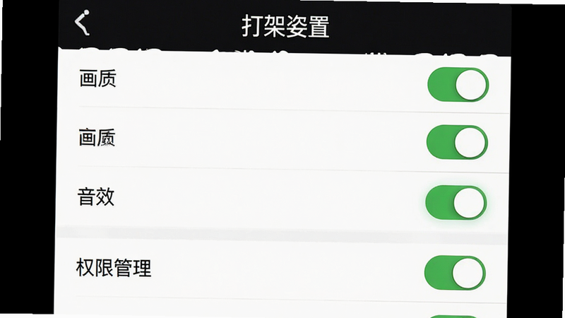 “打架姿势”App设置界面预览,主体为设置选项列表,包括画质、音效、权限管理等,布局为垂直列表,风格为简洁白色背景,细节展示开关按钮状态,画质清晰,文字“设置”清晰可见