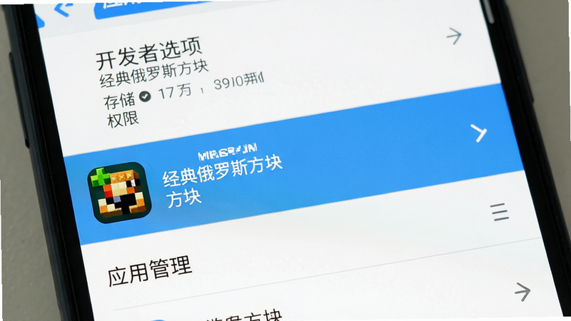 主体为手机设置界面,显示“开发者选项”或“应用管理”页面,布局为列表,背景为白色,高亮显示“经典俄罗斯方块”应用条目,风格为系统原生UI,细节为条目带有灰色分割线,画质清晰,干净,无多余元素,文字标注