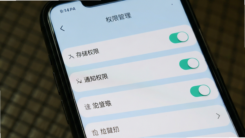 主体为手机设置界面,布局为列表形式,展示存储权限、通知权限等选项,背景为浅蓝色,排版清晰,风格为系统原生UI,细节处有开关按钮,画质清晰,干净,文字“权限管理”位于顶部