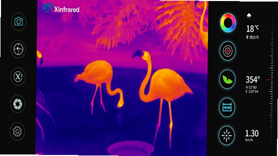 ����X��׿�� �������ȼ��̳�