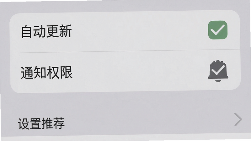 主体为手机设置界面,布局为列表形式,显示“自动更新”、“通知权限”等选项,风格简洁灰,细节勾选标记清晰,画质高清,干净,无多余元素,文字包含