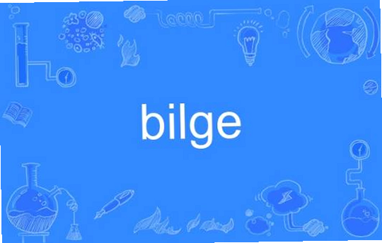 Bilge ��׿�� ������� ����չʾ